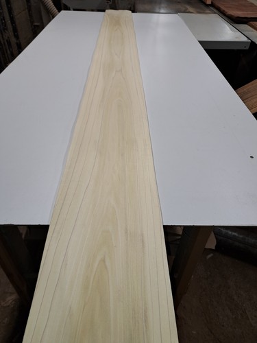 Tulip veneer natural wood - 1,