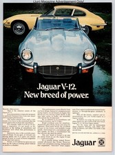 Jaguar V12 E Type Roadster