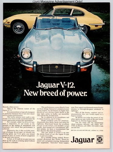 Jaguar v12 type roadster - e,