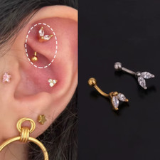 Curved Barbells Eyebrow Rook