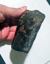 Rare, Large UK Sauropod Dinosaur Tibia Bone Section