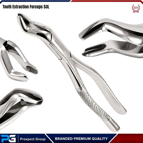 Fig 53l dental - dental, forceps