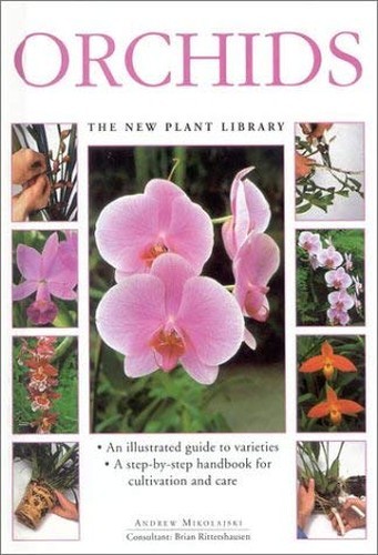 Orchids - (new, plant