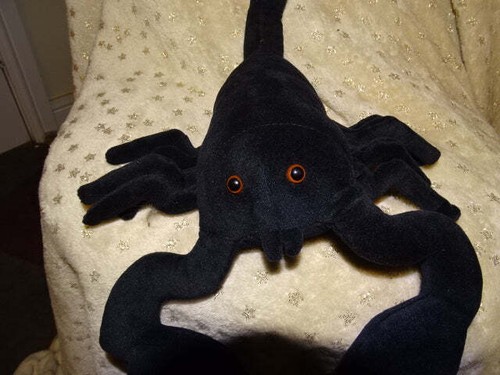 Black scorpion dark - scorpion',