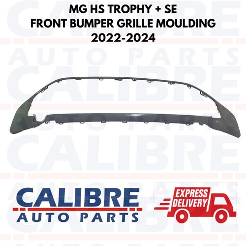 Trophy 2019 2024 - 2019,
