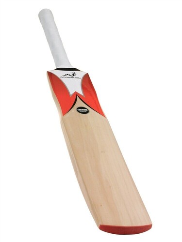 Woodworm cricket fireworm - cricket,