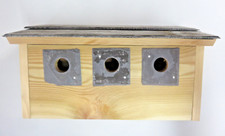 Sparrow Terrace Hotel House