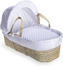 Clair de Lune Dimple Palm