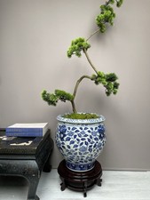 XL Chinese Blue & White Porcelain Floor Planter 43cm hand paint Lion Ring Handle