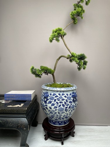 Chinese blue white - xl, &