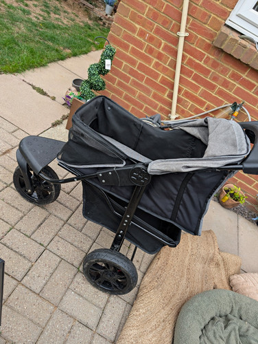 Wheel jogging pet dog - jogging,
