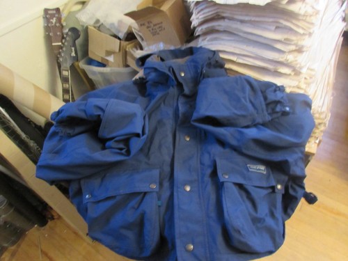 Stunning rare blue hardy - stunning,