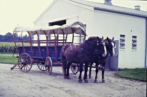 Vintage 35mm slides photos - vintage,