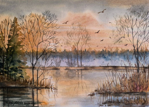 Birds flying foggy forest bob - flying,