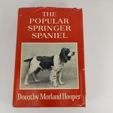 The Popular Springer Spaniel