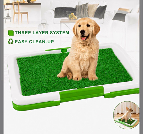Dog toilet potty - potty, training