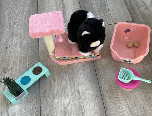 American girl cat - american, care