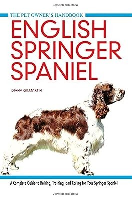English springer spaniel pet - english, (pet