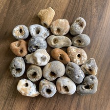 Twenty Natural Hag Stones