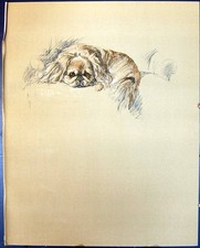 Original Old Vintage Print