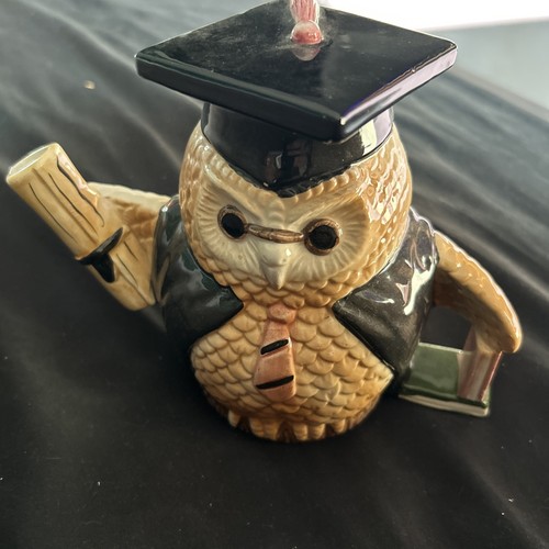 Wise old owl novelty teapot - old,