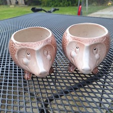 Vintage Pair  Park Rose