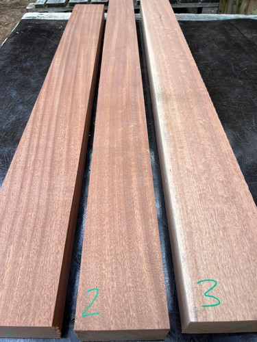 Sapele mahogany bass tn - /,