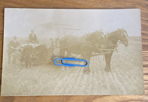 Horse drawn threshing machine - threshing,