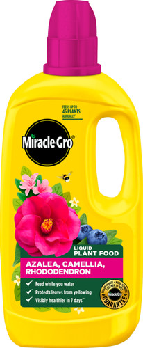 Miracle gro 800ml - 800ml, azalea