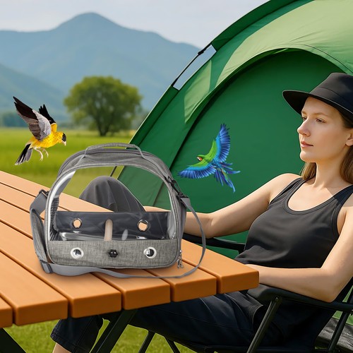 Portable birds parrot - birds, carrier