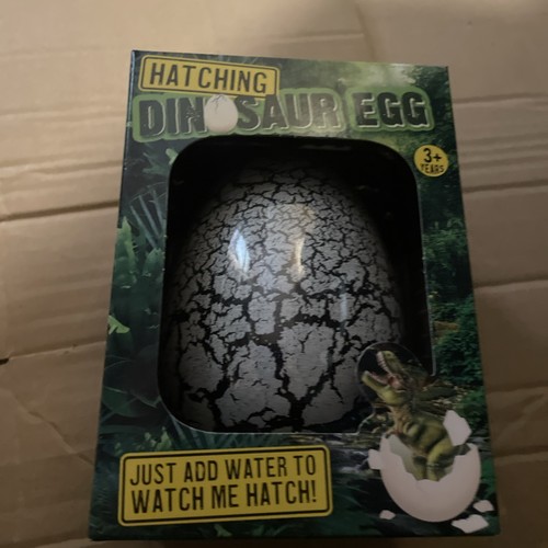 Hatching dinosaur egg - egg,