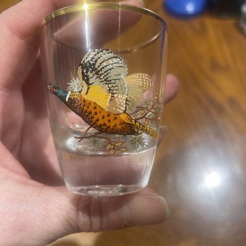 Vintage french pheasant - pheasant, shot