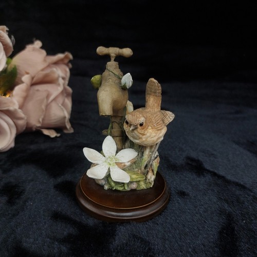 Border fine arts - fine, wren