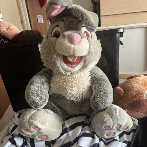 Walt disney world - walt, 12”