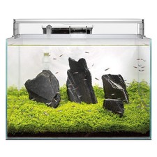 Superfish scaper aquarium - 60,