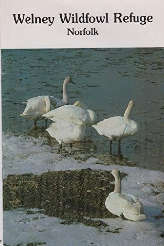 Welney wildfowl refuge - wildfowl,