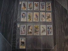 16 x 1950's Brooke Bond Tea