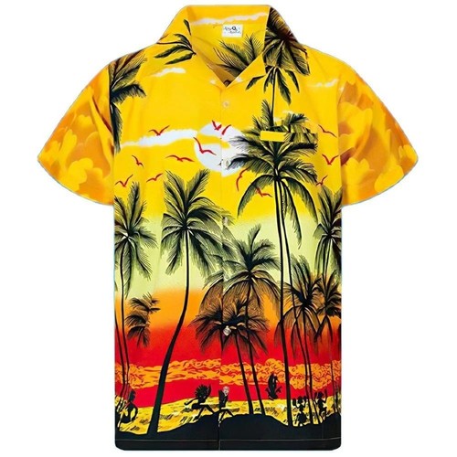 Mens hawaiian shirt - mens, s-5xl