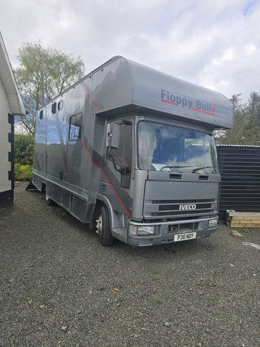 Iveco ton horse lorry - ton,