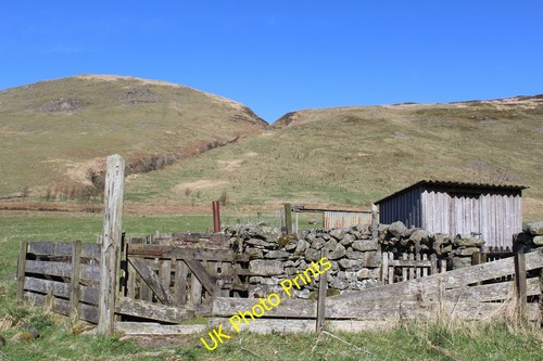 Photo 6x4 sheep shelter - photo,