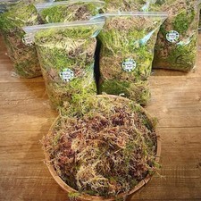 Live sphagnum moss 1kg next - live,