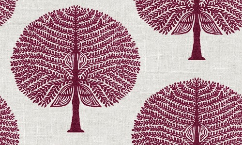 Burgundy red mulberry tree - burgundy,