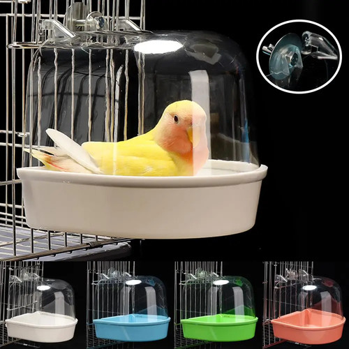 Hanging bird bath box - hanging, parrot