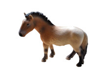 Schleich Przewalski Horse