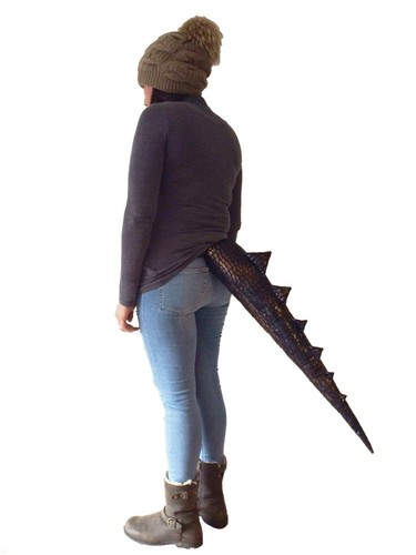 Black dinosaur dragon animal - black,
