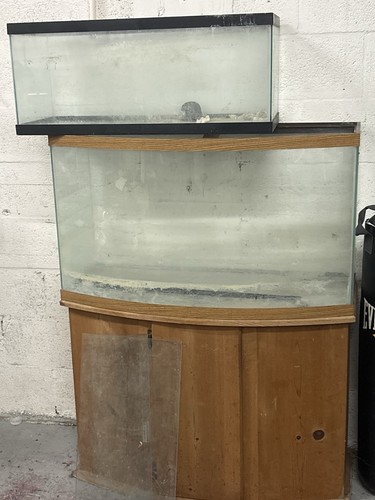 Gallon wood frame - 44,