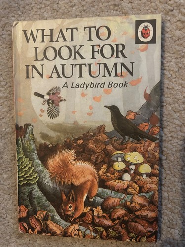 Vintage ladybird book - vintage,