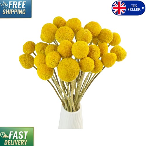 Charming dried flowers bouquet - dried,