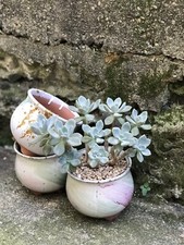 Set of Two Glazed And Unglazed