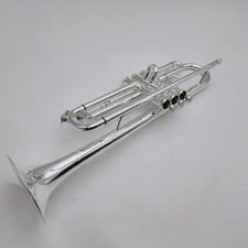 New schagerl 600s silver - 600s,